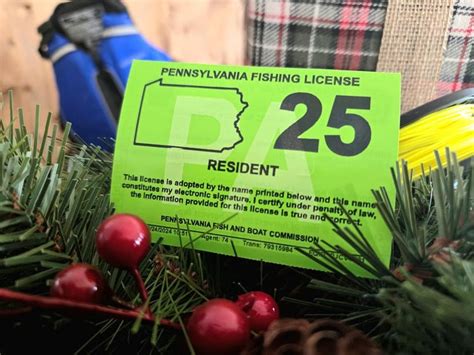 rod fishing licence|Iba pa.